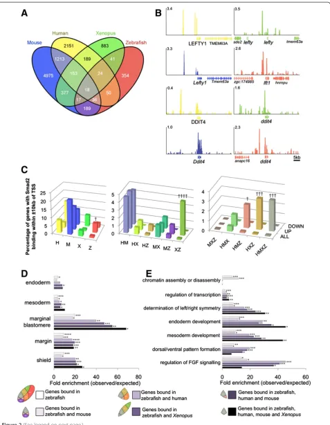 Figure 2 (See legend on next page.)