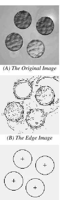 Table 2 : The Detected Results With The Proposed Algorithm Used In Fig. 2(C) (Unit: Pixel) 