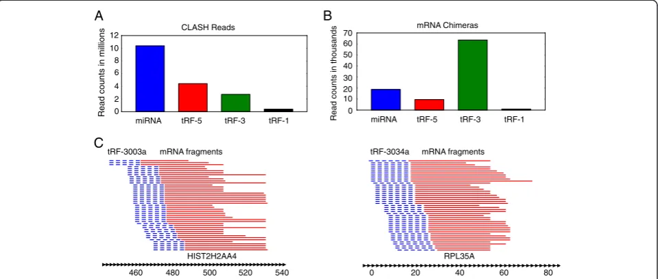 Figure 6 tRF-mRNA chimeras are abundant in AGO1 CLASH data. (A) Numbers of CLASH reads that started with a perfect match to a miRNA,tRF-3, tRF-5 or tRF-1 and deemed to not be pre-miRNA, tRNA or a RNA in Ref-Seq