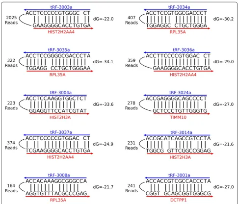 Figure 7 Examples of tRF-3-mRNA CLASH chimeras. The most abundant read of 10 of the most prevalent tRF-3-mRNA interactions found inour analysis were analyzed with mfold’s RNA Folding Form using default settings