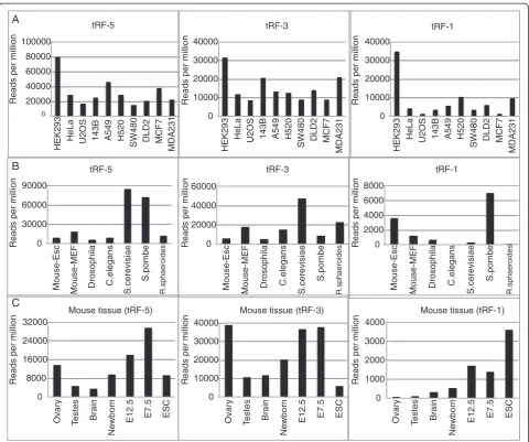 Figure 2 Presence of tRFs in bacteria to human. (A) Frequency of the three types of tRF in different human cell lines