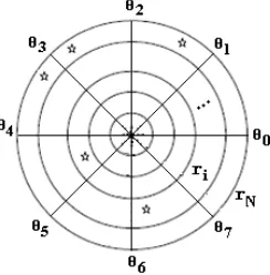 Figure 3:  The Stellate Pattern Can Be Denoted By The  Polar Grid 