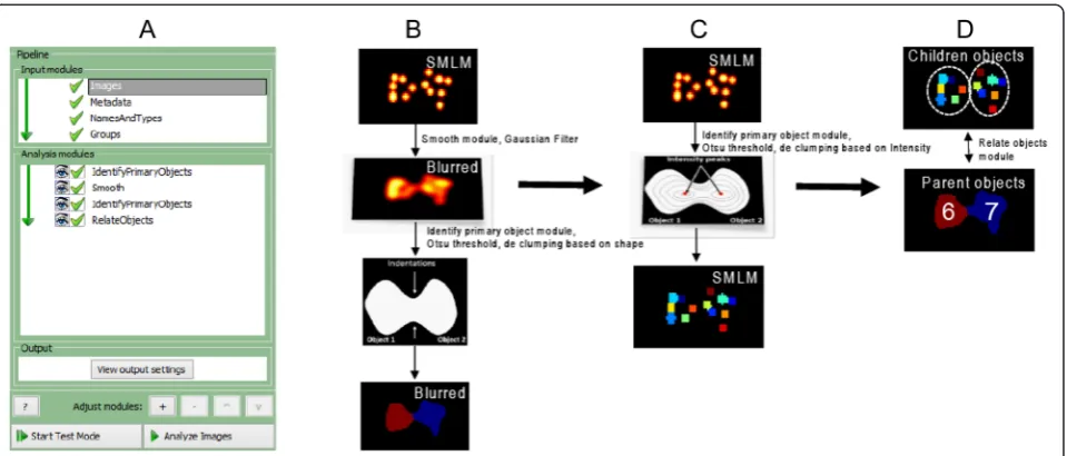 Fig. 1 Pipeline and analysis tested on SMLM simulation image. a Pipeline design in CellProfiler window