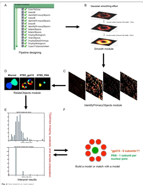 Fig. 2 (See legend on next page.)