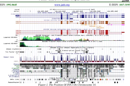 Figure 2. Query Result For INF2 Gene 