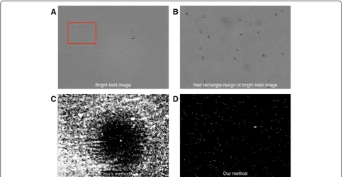 Figure 4 Counting yeast cells by using the FDA/PI dye. (A) 100% viability. (B) 50% viability