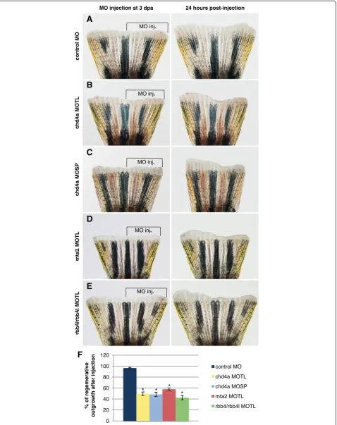 Figure 3 (See legend on next page.)