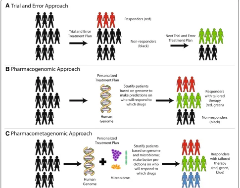 Fig. 1 A vision for the future: knowledge of the microbiome can lead to better predictions of drug response