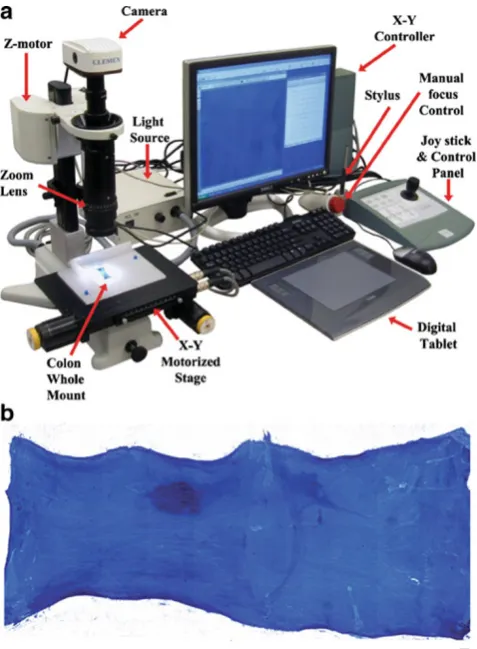 Fig. 1 a Workstation used to acquire high-resolution composite imagesof stained whole mount preparations