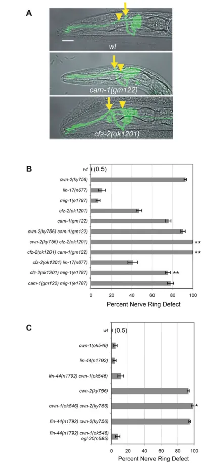 Fig. S2 in the supplementary material), possibly owing to