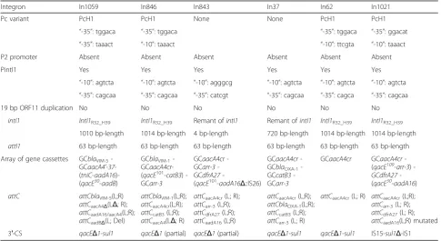 Fig. 1 Electrophoretogram of recombinant plasmids encodingKpn761 estimated to be approximately 5.3 kb-long;recombinant plasmid encoding novel In1059 from the isolateplasmid encoding In846 from the isolate Eae634 estimated to beapproximately 5.1 kb-long;In3