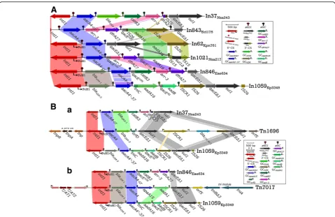 Fig. 2 Integron comparisons based on BamHI digestion of plasmids. Genes are denoted by arrows and colours based on the gene functionclassifications