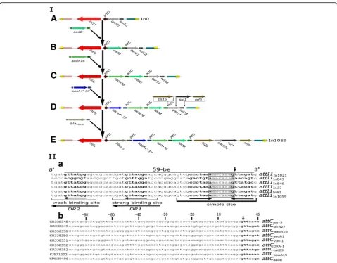 Fig. 3 Genetic structures and proposed mobilization and evolution of In0 to In1059 and the analysis ofgenetic structures and putative mobilization