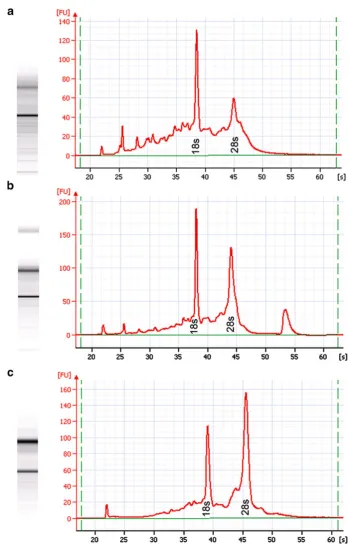 Fig. 6 Electropherogramcomparison of LCM time coursesamples from unstained MA.a LCM duration of 2 h