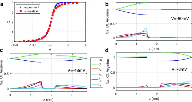 Fig. 2 zmidpoint of the QV curve. As we can see, each vestibule hasdistributions ofarginines staying in it (for each arginine, presented later in c shows the situation at V ¼ �48 mV, which is the ci (i ¼ 1, 2, 3, and 4), resulting in half of theQ3 ¼ 2)