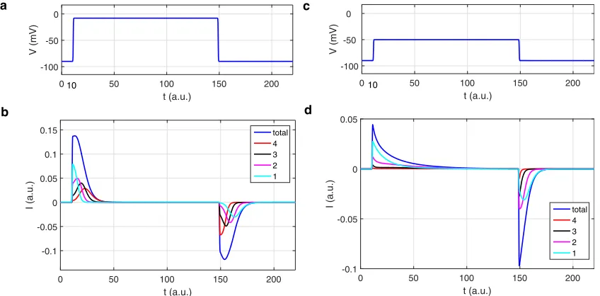 FIGURE 3(gating current,ta) The time course of V rising from �90 to �8 mV at t ¼ 10 holds on until t ¼ 150 and then drops back to �90 mV