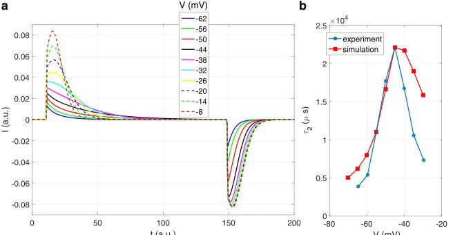 Fig. 6 cthat the S4 segment is initially farthest to the right, lagsbehind R1 during movement, and is almost caught up byR2