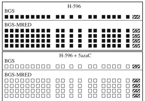 Fig. 3. Schematic representation of the methylation analyses at the 22CpG sites within thetreatment (fully demethylated)