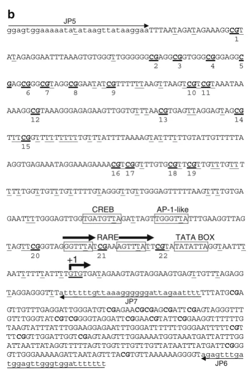 Fig. 1. (continued).