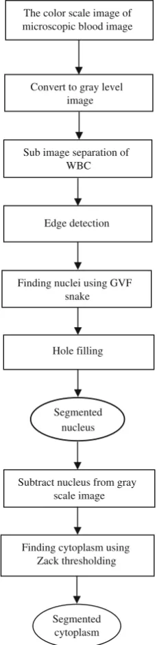Fig. 1. The proposed framework of the WBC segmentation scheme.