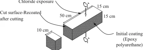 Fig. 1 Initial concrete prism specimens ? cuts for laboratory tests.