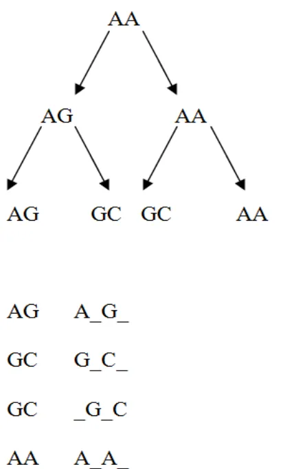 Fig.  2,  a  clear  case  of  common  ancestry  (and  thus 