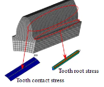 Figure 1 shows a meshed spur model of gear pair. For the dynamics analysis of gears, rigid surface constraint is applied on the boundary surface of 