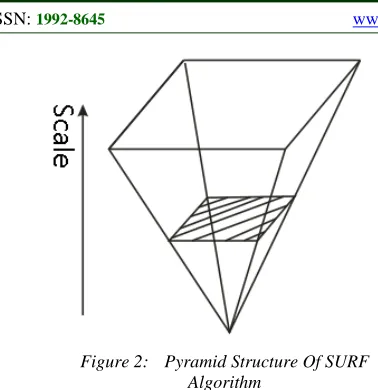 Figure 2:   Pyramid Structure Of SURF Algorithm 