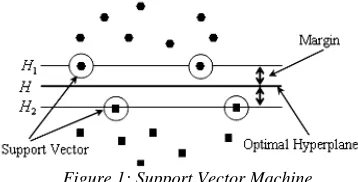 Figure 1: Support Vector Machine 