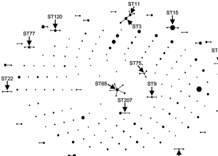 FIG. 1. Population snapshot by eBURST. The entire S. pyogenesthe group deﬁnition to zero of seven shared alleles, which places all isolates in a single group