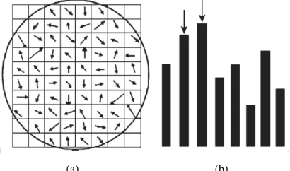 Figure 1: Determine The Main Direction Of Feature Points; (A) The Pixels Gradient Of The Field Of Feature 