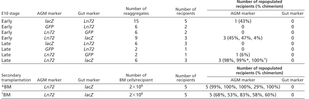 Table 1. CFU-S11 derived from chimeric reaggregates containing AGM and gut cells