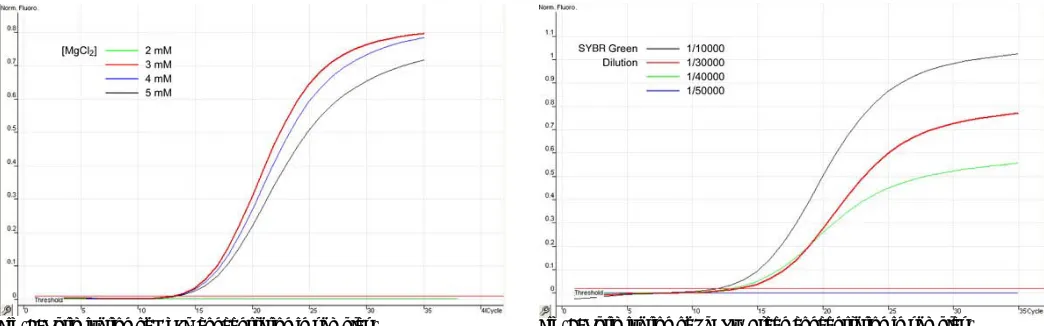 Fig. 8: MgCl2: Melt® results. 