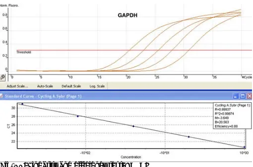 Fig. 10: SYBR® Green: Melt® results. 