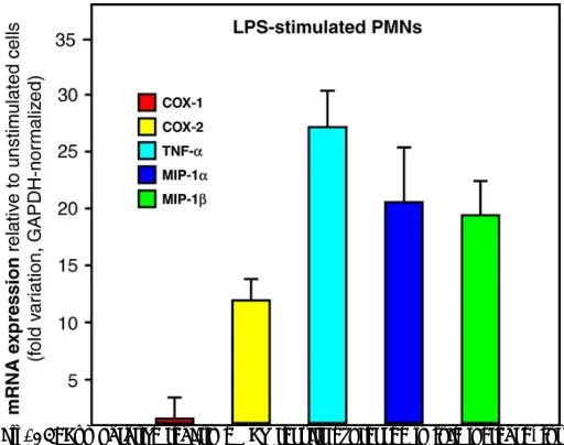 Fig. 14: Comparative real-time PCR results expressed in fold increase, for  with LPS. Results represent the mean ± SEM from n=3 distinct COX-1 and COX-2, TNF-α, MIP-1α and MIP-1β in leukocytes stimulated experiments