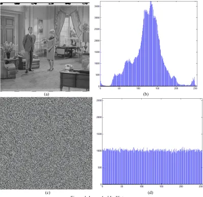 Figure 1. Image And Its Histogram. 