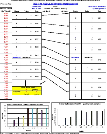 Fig. 23: Typical EXCEL file set-up for primer-probe optimizations and validations. 