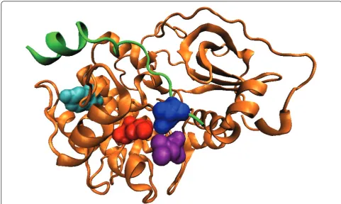 Figure 5 Top-scoring residue pair for the kinase domain. The kinase domain (orange) and the ligand (green) in the PDB structure 1ATP areshown
