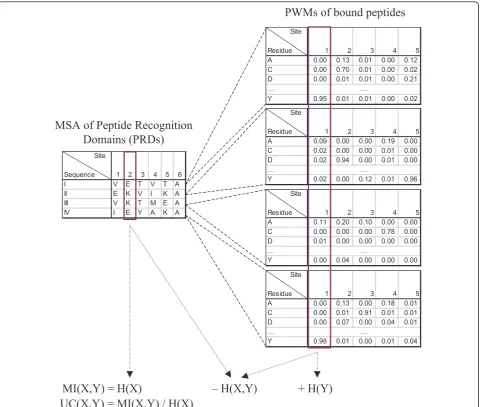 Figure 1 An illustration of our method for finding specificity determining residues (SDRs)