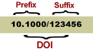 Fig. 2: DOI Structure (14) 