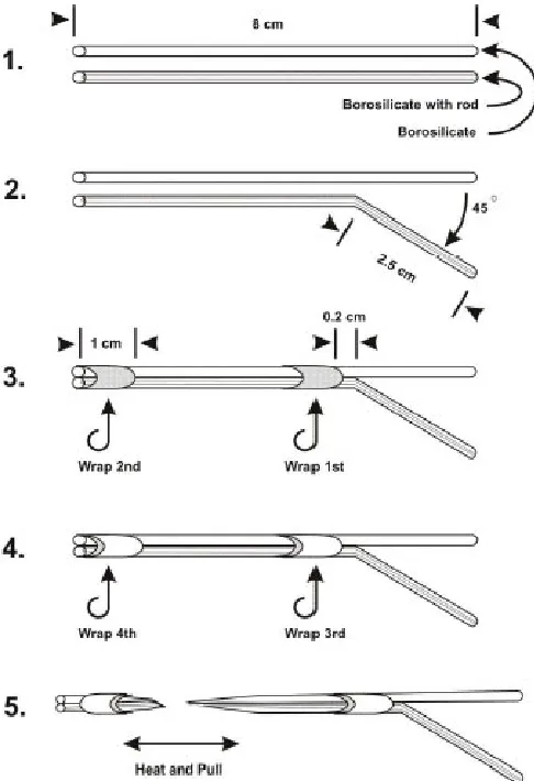 Table 1: Pulling protocol program for the WDI PMP-100 multi-barrel micropipette puller