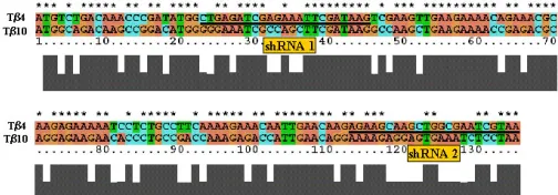 Fig. 1: TβRFCGR, Sequences selected for Thomology with 4 and Tβ10 share a high degree of sequence homology
