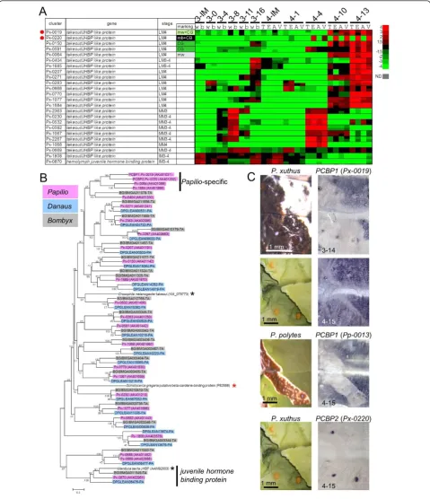 Figure 6 Expression pattern of putative carotenoid-binding protein genes(respectively
