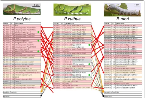 Figure 1 Comparison of the 30 most highly expressed genes betweenmost highly expressed genes were color-coded in accordance with similarity of abundance of epidermal expressed sequence tag clones (redindicates genes which are among the 30 most highly expre