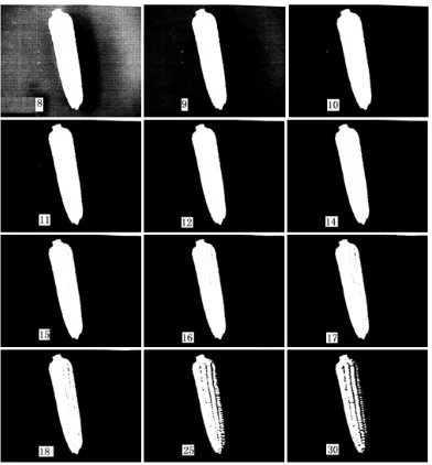 Figure 8: Choosing Different Threshold In Binary Images 