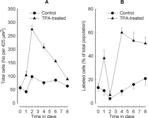Fig. 1: Time course of adherence and PGHS-1 expression incontrol and TPA-treated MEG-01 cells