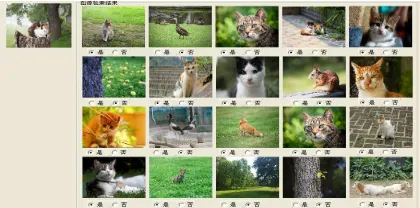 Figure 1 Search Results For The First Time  