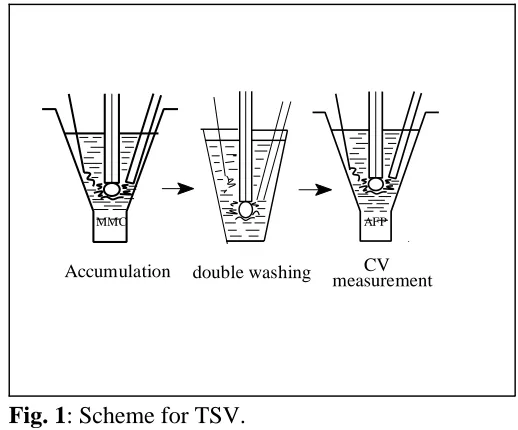 Fig. 1: Scheme for TSV.