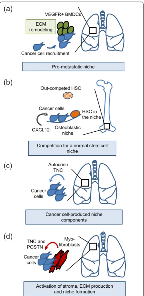 Figure 8. Examples of metastatic niches during early colonization of distant organs. (a) Systemic changes induced by the primary breast tumor: mobilization of VEGFR1+ bone marrow-derived cells (BMDCs), recruitment to the lungs, extracellular matrix (ECM) r