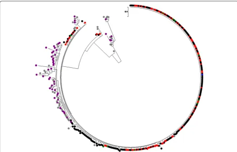 Figure 2 Neighbor-joining tree obtained with the NS5B-region sequences of hepatitis C virus (HCV)-1a samples analyzed in this study.Color codes: outbreak sequences are in black, red, and green (see legend to Figure 3), excluded from the outbreak are in dar